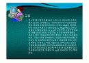 스위스의 소개(자연,사회,문화,역사,경제)40page ppt 29페이지