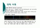 일반화학)원소의 스펙트럼 발표-파워포인트 자료 6페이지