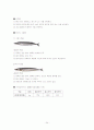 수산물 유통, 감별법, 수산물 유통, 수산물 종류 24페이지