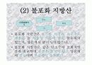 지질의_분류 11페이지