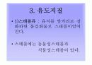 지질의_분류 18페이지