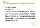 자본시장통합법 25페이지