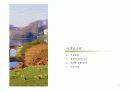 (부동산개발사업)용인시기흥구고매동타운하우스사업계획서 41페이지