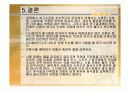 지구력 스포츠와 스포츠 상황별 식사 계획 19페이지
