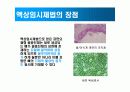골충진제 제조공정 3페이지