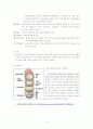 허혈성 심장질환 간호 2페이지