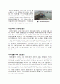 [해양폐기물]해양폐기물의 이해(정의, 원인, 피해, 영향 등), 해양폐기물 발생 현황과 해양폐기물로 인한 해양오염 문제의 해결방안 4페이지