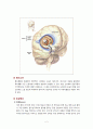 [논문] 파킨슨(Parkinson's Disease) 2페이지