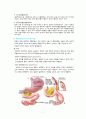 case study - Stomach Cancer (케이스 스터디 - 위암) 7페이지