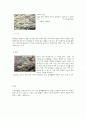 돌의 종류 2페이지