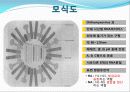 인플루엔자(독감)바이러스, 조류인플루엔자바이러스의 기작과 특징, 타미플루,백신의 종류. 9페이지