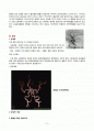 지주막하 출혈 - Sub Arachnoidal Hemorrhage (SAH) 2페이지
