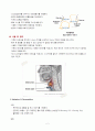 Tracheostomy 2페이지
