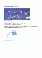 Tracheostomy 7페이지