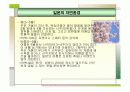가깝고도 먼나라 일본여행하기 (국제관광) 6페이지
