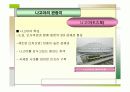 가깝고도 먼나라 일본여행하기 (국제관광) 27페이지