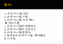브라질 리우카니발 2페이지