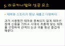 브라질 리우카니발 14페이지