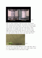 지진에 의한 건물의 흔들림 사례 7페이지
