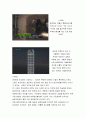 지진에 의한 건물의 흔들림 사례 8페이지