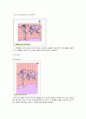 지도 투영의 종류(map projection) 7페이지