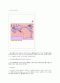 지도 투영의 종류(map projection) 8페이지