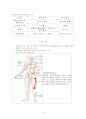 면역(immune system) 4페이지