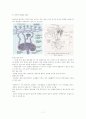 면역(immune system) 7페이지
