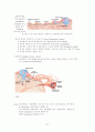 면역(immune system) 21페이지