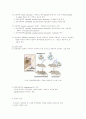 종양면역 (Tumor Immunology) 13페이지