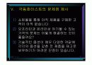 인터넷 쇼핑몰의 성공과 실패 16페이지