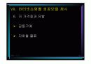 인터넷 쇼핑몰의 성공과 실패 30페이지