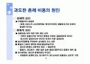 결혼은 사랑만으로 하는가 (혼례문제점, 준비비용, 원인등 분석) 8페이지