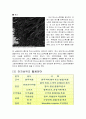 Electronic Textile (전자섬유) 12페이지