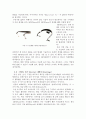 [창의공학설계] 『Brain Storming과 창의적설계』에 대하여 52페이지