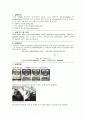 요오드가(IV) 실험보고서 2페이지