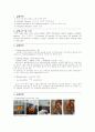 탄수화물 정성실험 2페이지