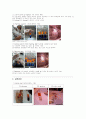 탄수화물 정성실험 3페이지