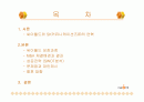싸이월드 중국진출 마케팅 성공사례 SWOT 2페이지