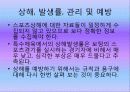 스포츠 의학과 트레이닝 4페이지