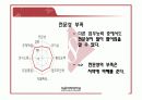 [지방행정A+] 지방의원 및 지방공무원,지방자치단체장의 문제점과 역량강화 방안 21페이지