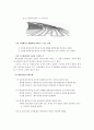 도로의 기하구조- 횡단구조, 선형, 시거 - [a플러스자료] 28페이지
