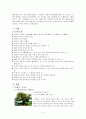 [천연기념물]우리나라&천연기념물&정의와 종류&천연기념물에 관한 분석한 레포트 7페이지
