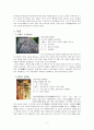 [천연기념물]우리나라&천연기념물&정의와 종류&천연기념물에 관한 분석한 레포트 9페이지