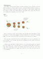 핵연료 Special Topics in Energy Problems Nuclear fuel 2페이지