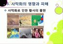 [사막화]사막화의 정의와 확대 원인 및 사막화로 인한 피해와 인간, 자연 생태계에 미치는 영향 조사, 사막화 확대 문제의 해결 대책 26페이지