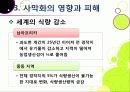 [사막화]사막화의 정의와 확대 원인 및 사막화로 인한 피해와 인간, 자연 생태계에 미치는 영향 조사, 사막화 확대 문제의 해결 대책 33페이지