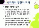 [사막화]사막화의 정의와 확대 원인 및 사막화로 인한 피해와 인간, 자연 생태계에 미치는 영향 조사, 사막화 확대 문제의 해결 대책 40페이지