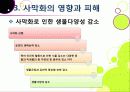 [사막화]사막화의 정의와 확대 원인 및 사막화로 인한 피해와 인간, 자연 생태계에 미치는 영향 조사, 사막화 확대 문제의 해결 대책 41페이지