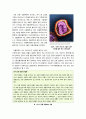 [신종플루]신종플루의 이해(정의, 발생 원인, 증상, 예방, 대책 등), 신종플루 발생 현황과 대응 방안 고찰 -신종플루 그것이 알고 싶다- 3페이지